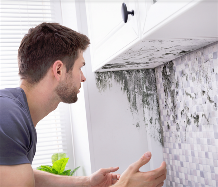 a man looking at mold growing underneath his kitchen cabinets