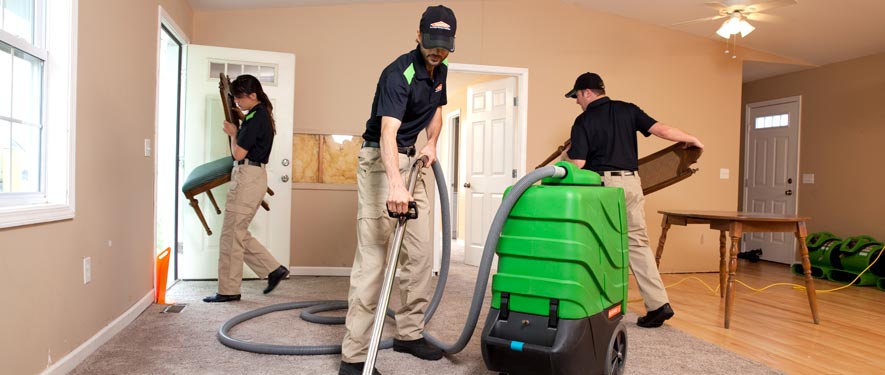 Montrose, CO cleaning services